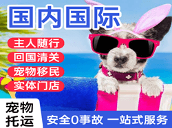 常德桃花源机场货运国际宠物托运 【国